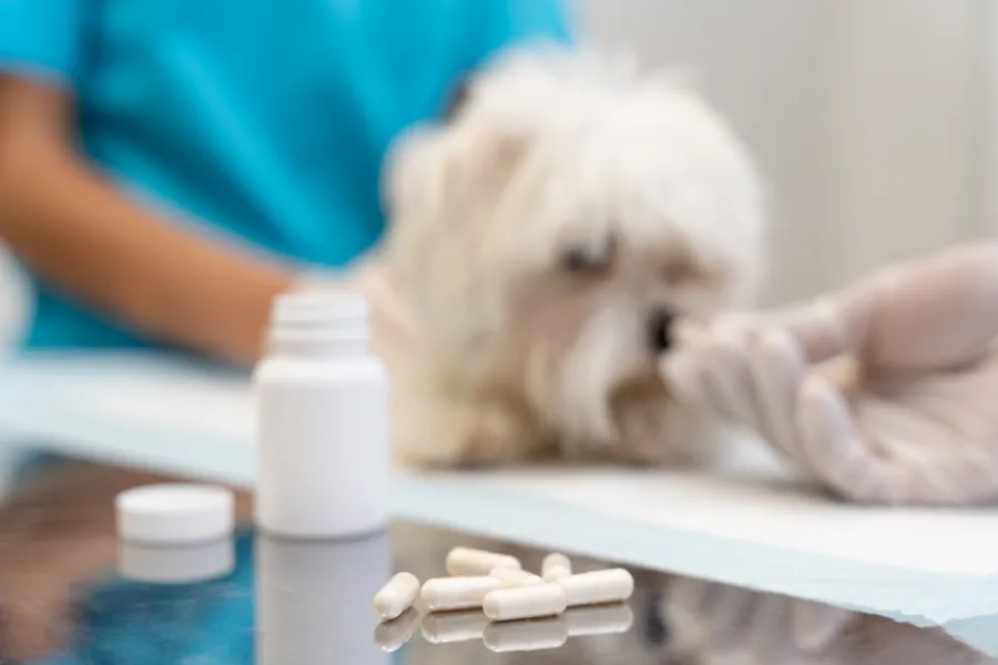 Medication-Comprehensive-Medication-Range
