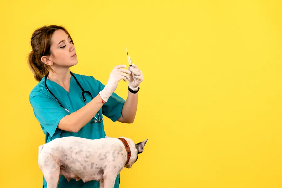 Vaccination---Customized-Vaccination-Plans