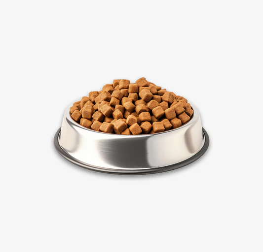 Chicken Flavoured BiscuitChicken