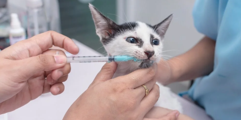 How Deworming Works